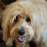 Debbie Mcmichael - @mcmdebbie - Instagram