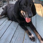 Debbie McPeak - @mcpeakdebbie - Instagram