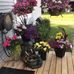 Debbie Mcphail - Facebook