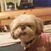 Debbie Mead - Facebook