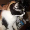 Debbie Mead - @debbie.mead05 - TikTok