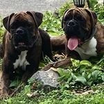 Debbie Mead - @debbiemead41 - Instagram
