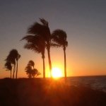 Debbie Mead - @dmead06 - Instagram