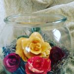 Debbie Meadows - @meadowsdebbie - Instagram