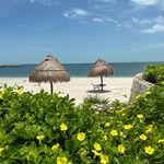Debbie Meeks - @dbbmeeks - Instagram