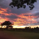 Debbie Taylor Meeks - @deb.meeks - Instagram