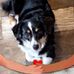 Deb Mefford - Facebook