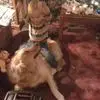 debbiemefford - @debbiemefford - TikTok