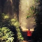 Debbie Meyers Meissner - @meissnerdebbie - Instagram