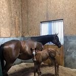Debbie Metz - @metz172 - Instagram