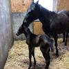 debbiemetz0720 - @debbiemetz0720 - TikTok