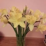 Debbie Michelle - @debbie.walters.332 - Instagram