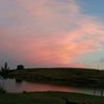 Debbie Michels - @debbie_michels - Instagram