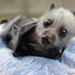 Debbie Michels - @debbling3 - Instagram
