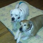 debbie milstead - @milsteaddebbie - Instagram