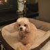 Debbie Mink - Facebook