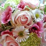 Debbie.Minton572 - @debbie.minton572 - Instagram