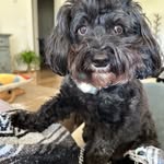 Debbie Mixon - @mixon9376 - Instagram