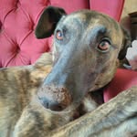 Debbie - @debbiemoggy - Instagram