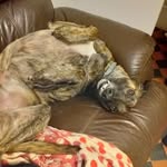 debbie mogford - @debbie_moggy - Instagram