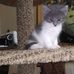 Debbie Moss - Facebook