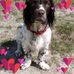 Debbie Moss - Facebook