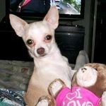 Bintu - @debbie_clem_mudge - Instagram