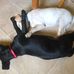 Debbie Ellen Mudge - Facebook