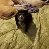 Debbie Muhammad - @debbie.muhammad - TikTok