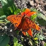 Debbie Munn Heidenberg - @mommah04 - Instagram