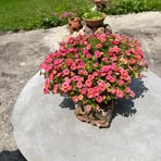 Deb Munsch - Facebook