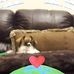 Debbie Murdock - Facebook