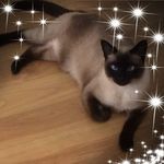 Debbie Murdock-Chown - @murdockchown - Instagram