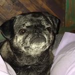 Debbie Murillo - @i12484_ - Instagram