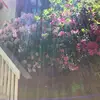 Debbie Nally - @debbie.nally - TikTok
