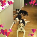 Debbie Napier - Facebook