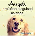Debbie Napper Coggins - Facebook