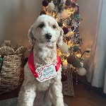 Debbie Giotto Nault - @debnault62 - Instagram