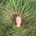 Debbie Nault - Facebook