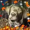 debbiearsenaultyo - @debbie.arsenault5 - TikTok