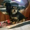 Debbienavarro - @user470827865 - TikTok