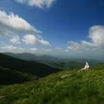 Debbie Naylor - @naylor.debbie - Instagram