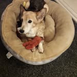 Debbie Naylor - @debbie.naylor.12764 - Instagram