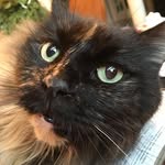 Debbie Neace - @debbie.neace - Instagram