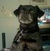 Debbie Neece - Facebook