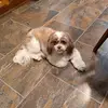 Debbie Neely - @debbie.neely2 - TikTok