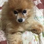 Debbie Neely - @dneely9655 - Instagram