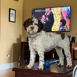 Debbie Neely Holsted - @holsteddebbie - Instagram