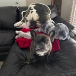 Debbie Neff - @debbie.neff2 - Instagram