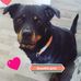 Debbie Ness - Facebook